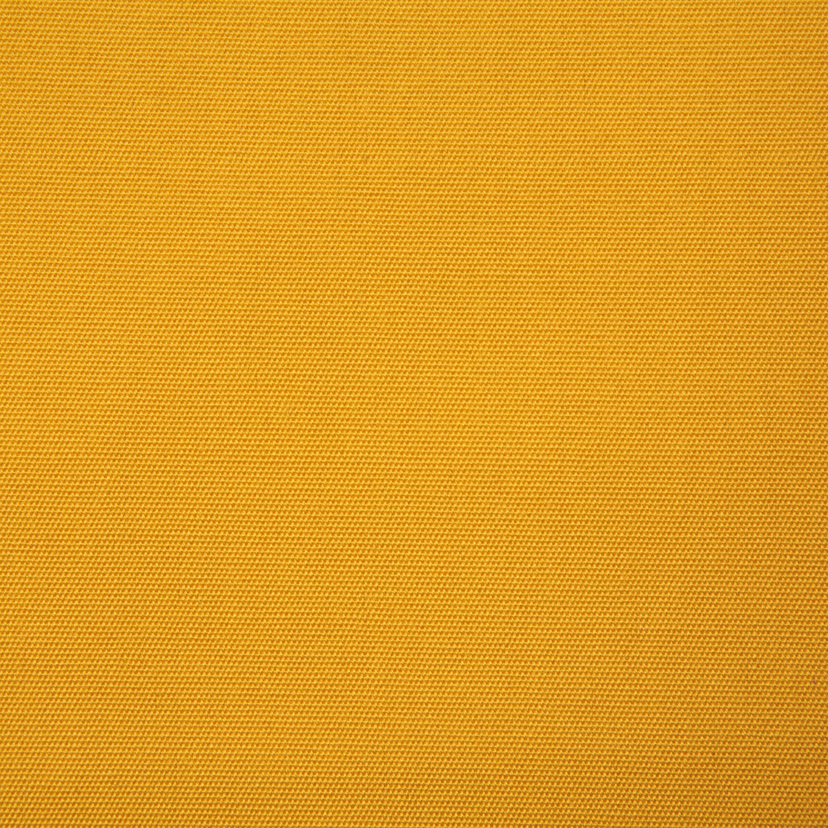 7974-bayshire-marigold-pindler - Pindler Tela
