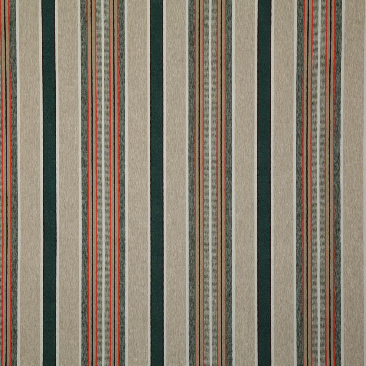 7978-baja-forest-pindler