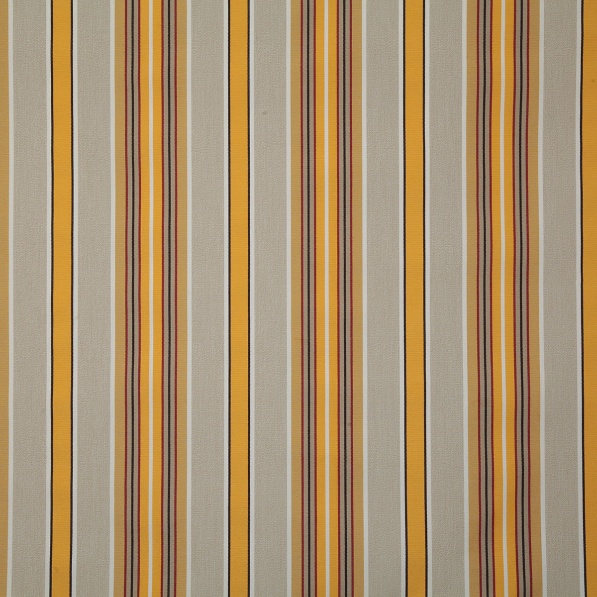 7978-baja-marigold-pindler