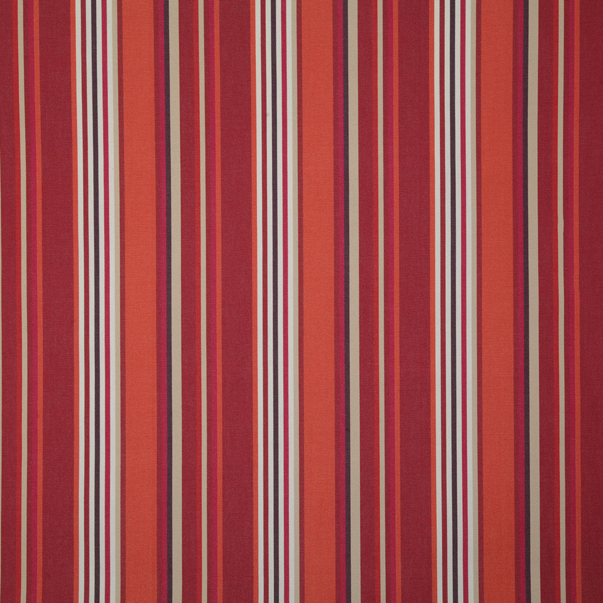 7980-dartmoor-berry-pindler