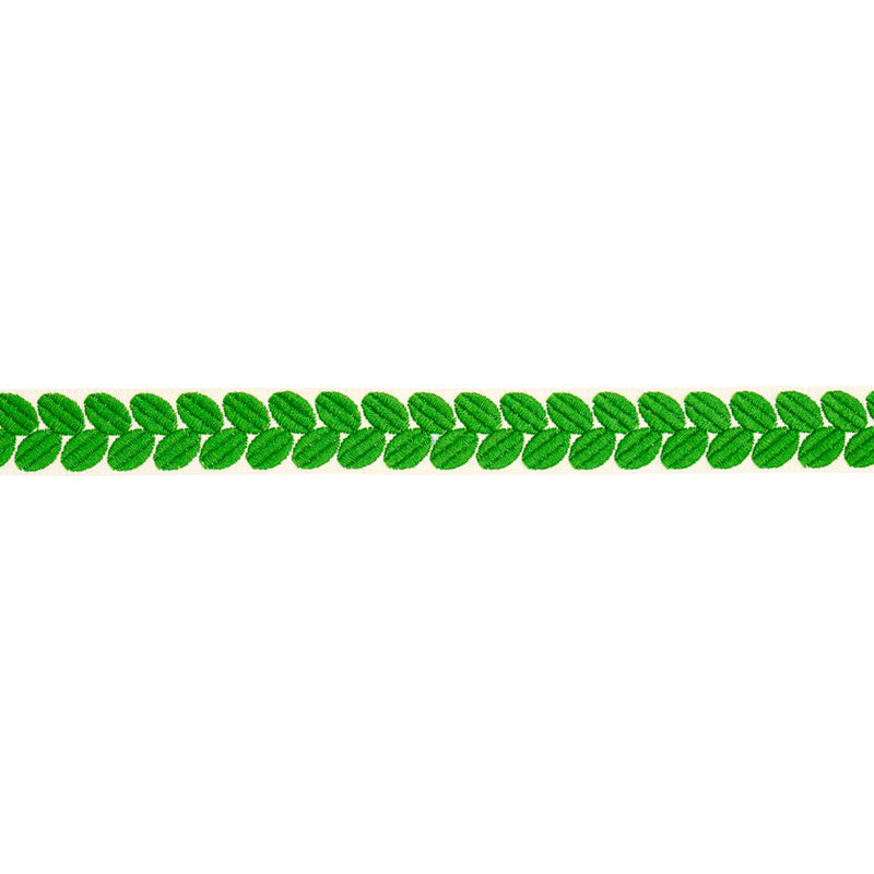 BERKELEY-TAPE-NARROW-LEAF-SCHUMACHER-79913