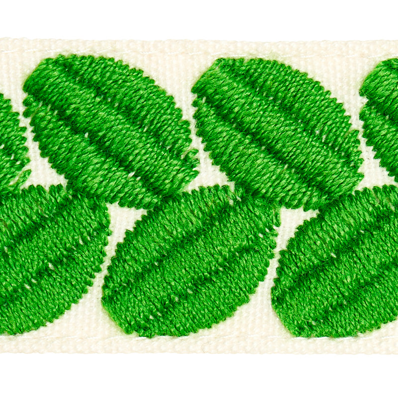 BERKELEY-TAPE-NARROW-LEAF-SCHUMACHER-79913