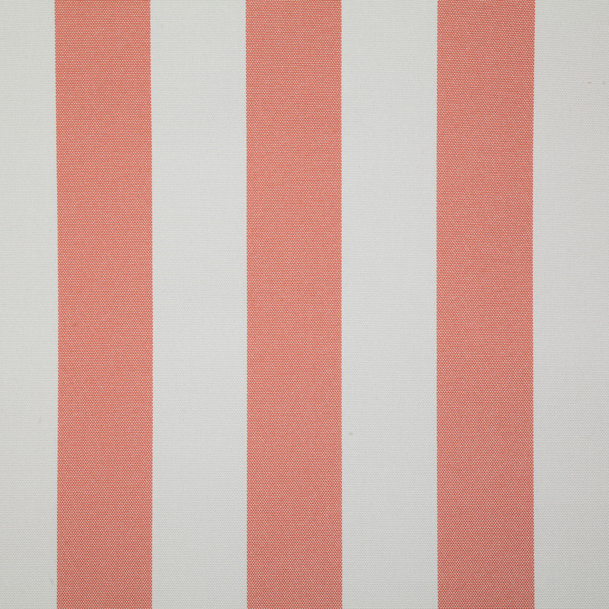7992-leeward-coral-pindler