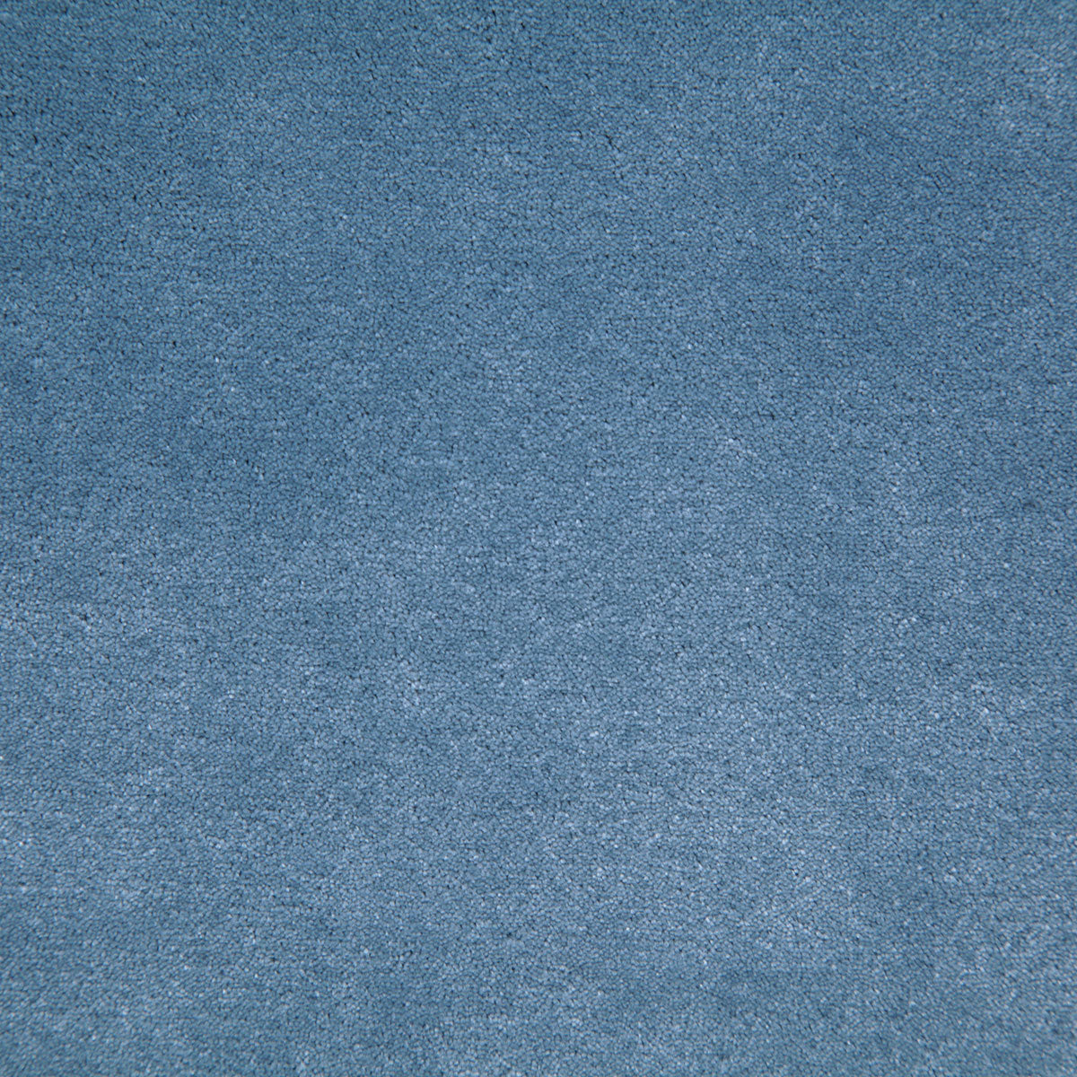 8003-titus-breeze-pindler