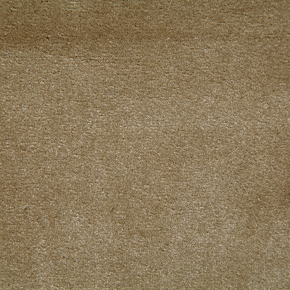 8003-titus-dune-pindler - Pindler Tela