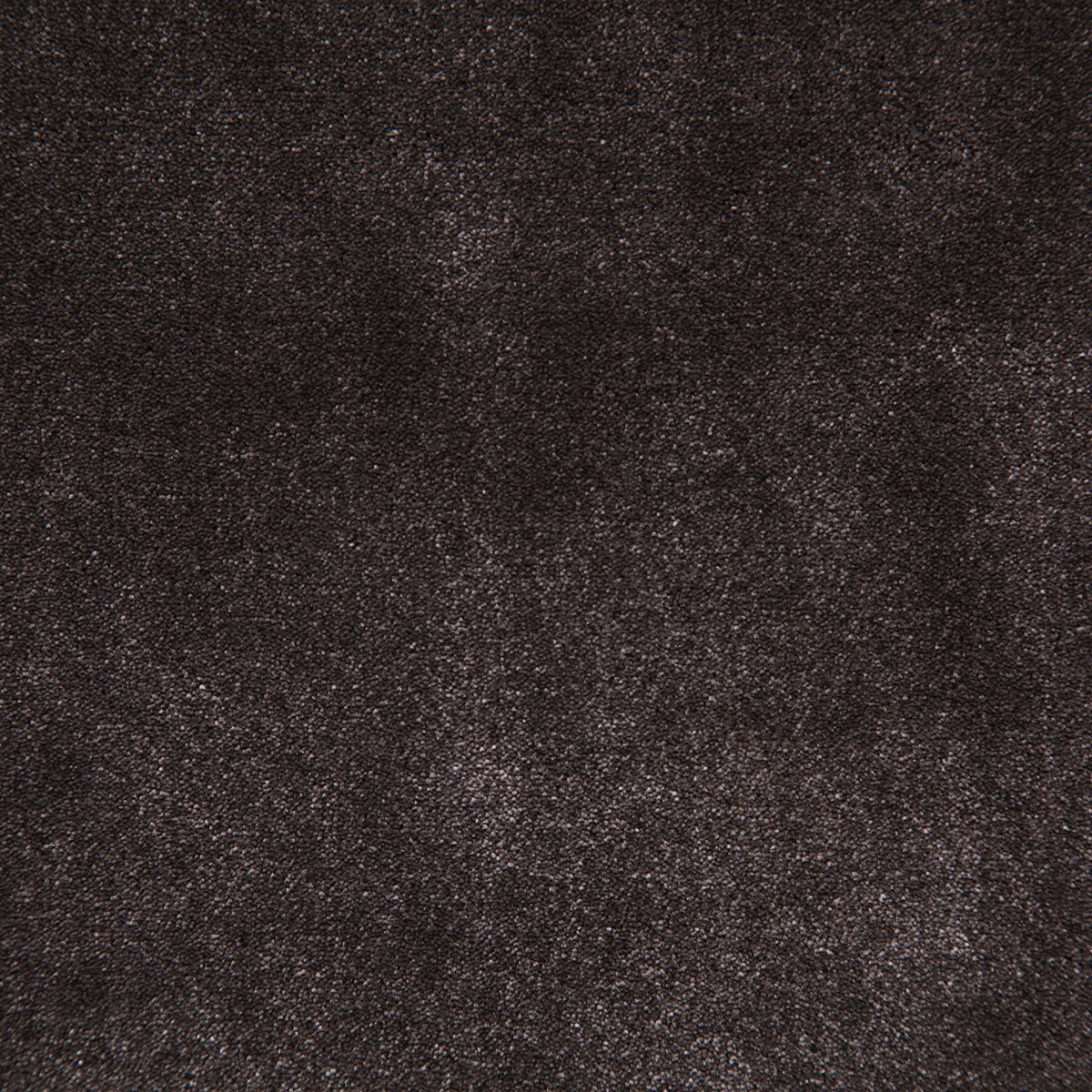 8003-titus-espresso-pindler - Pindler Tela