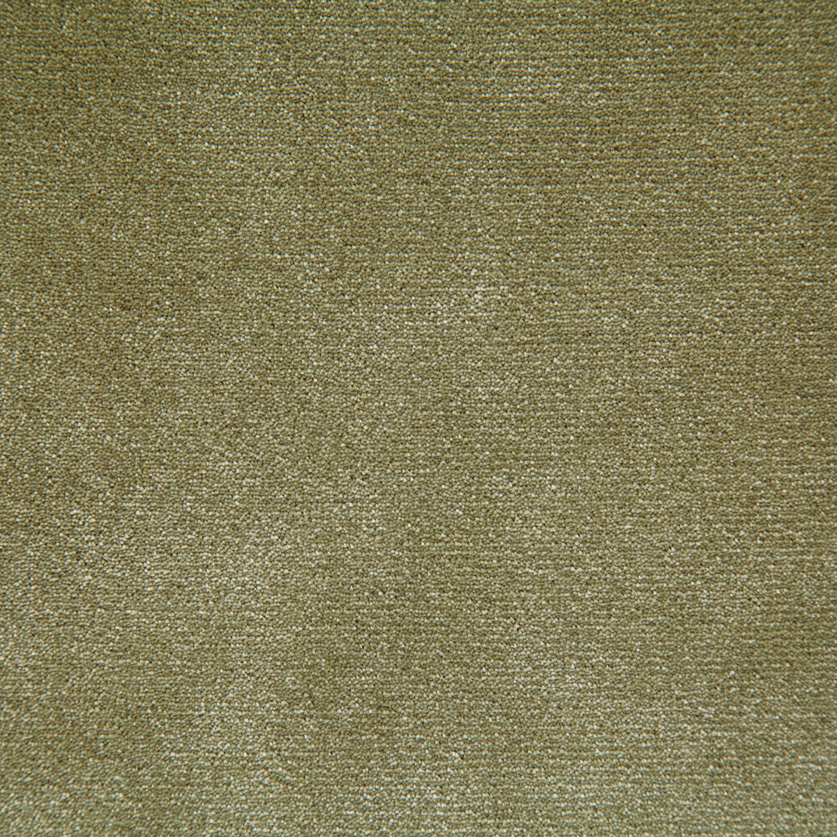 8003-titus-moss-pindler