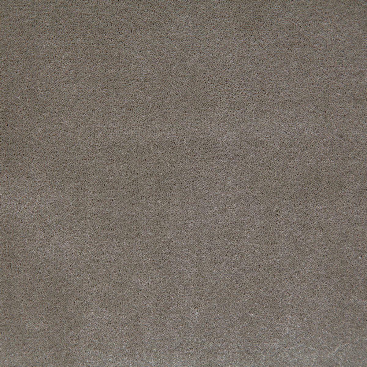 8003-titus-pumice-pindler - Pindler Tela