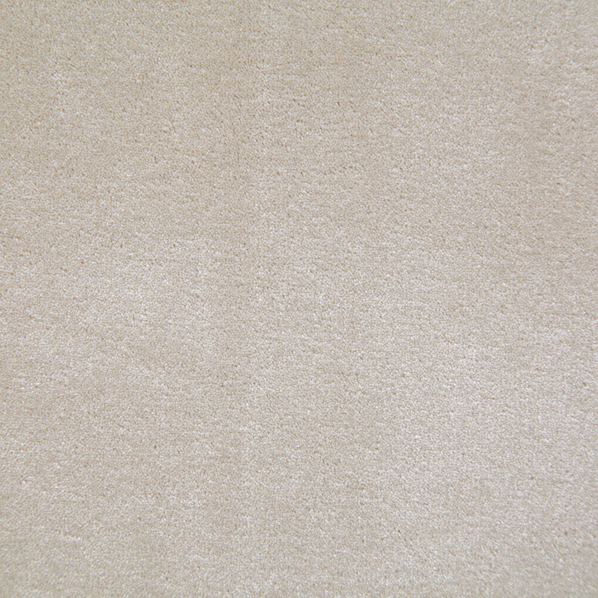 8003-titus-shell-pindler