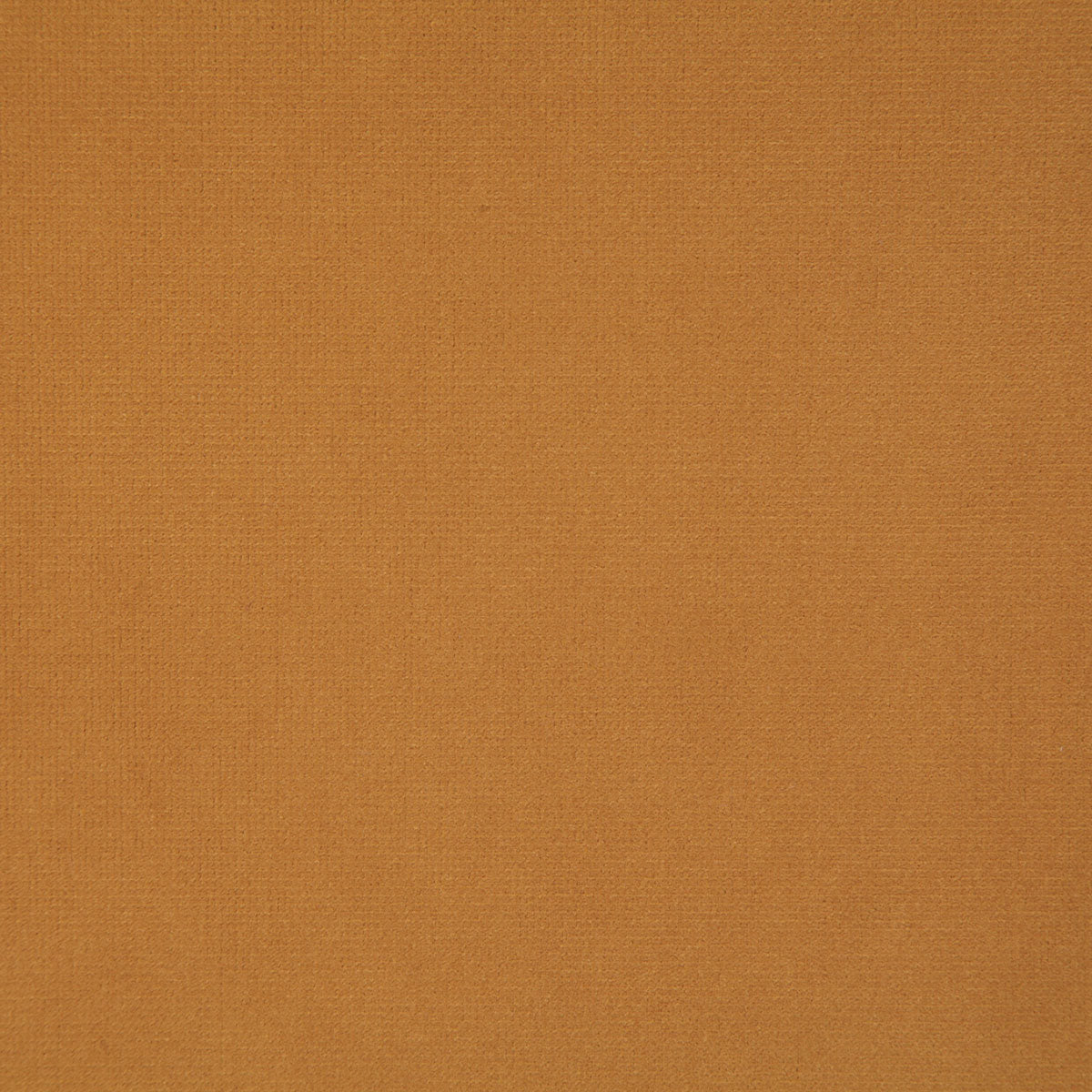 8004-florentina-amber-pindler - Pindler Tela