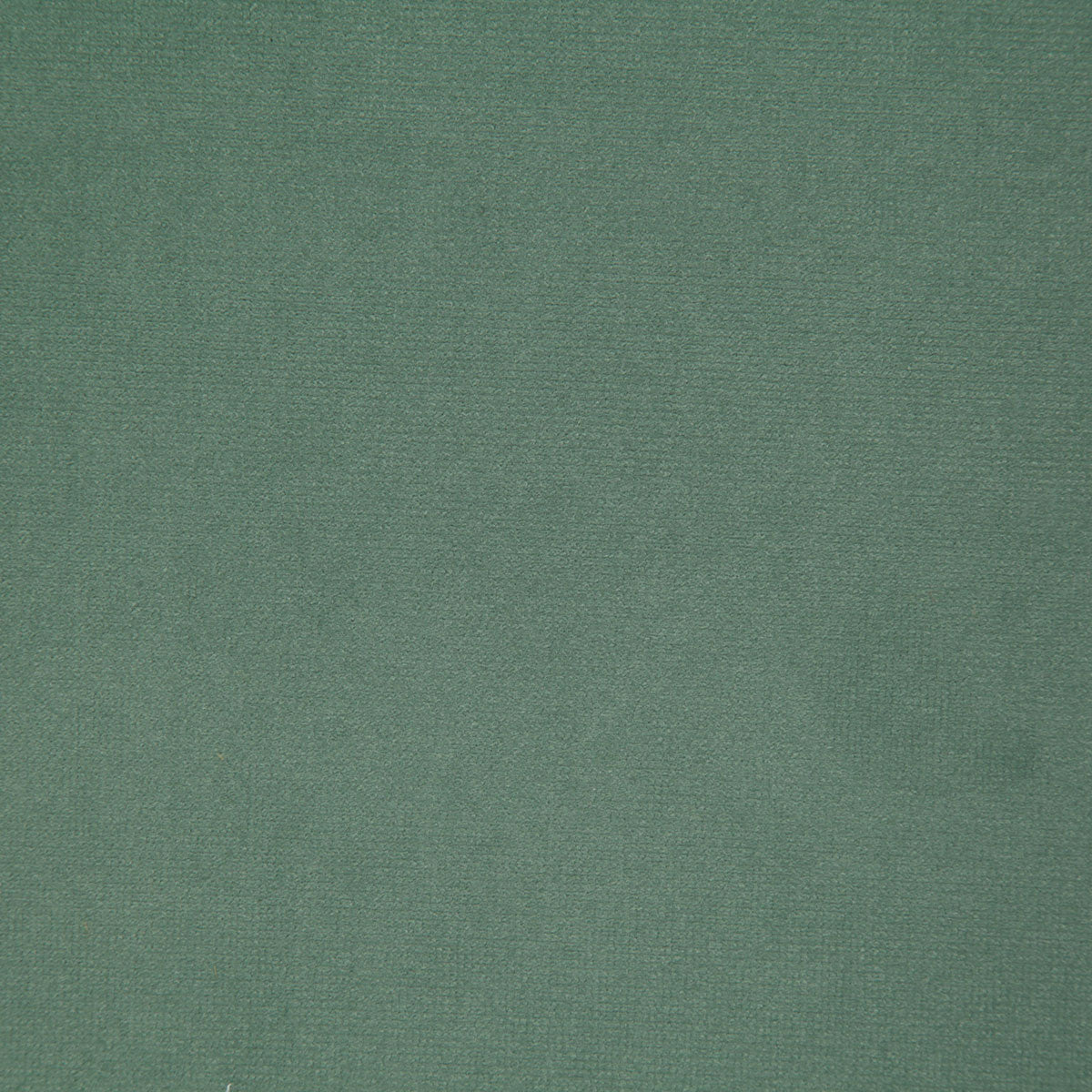 8004-florentina-fern-pindler - Pindler Tela