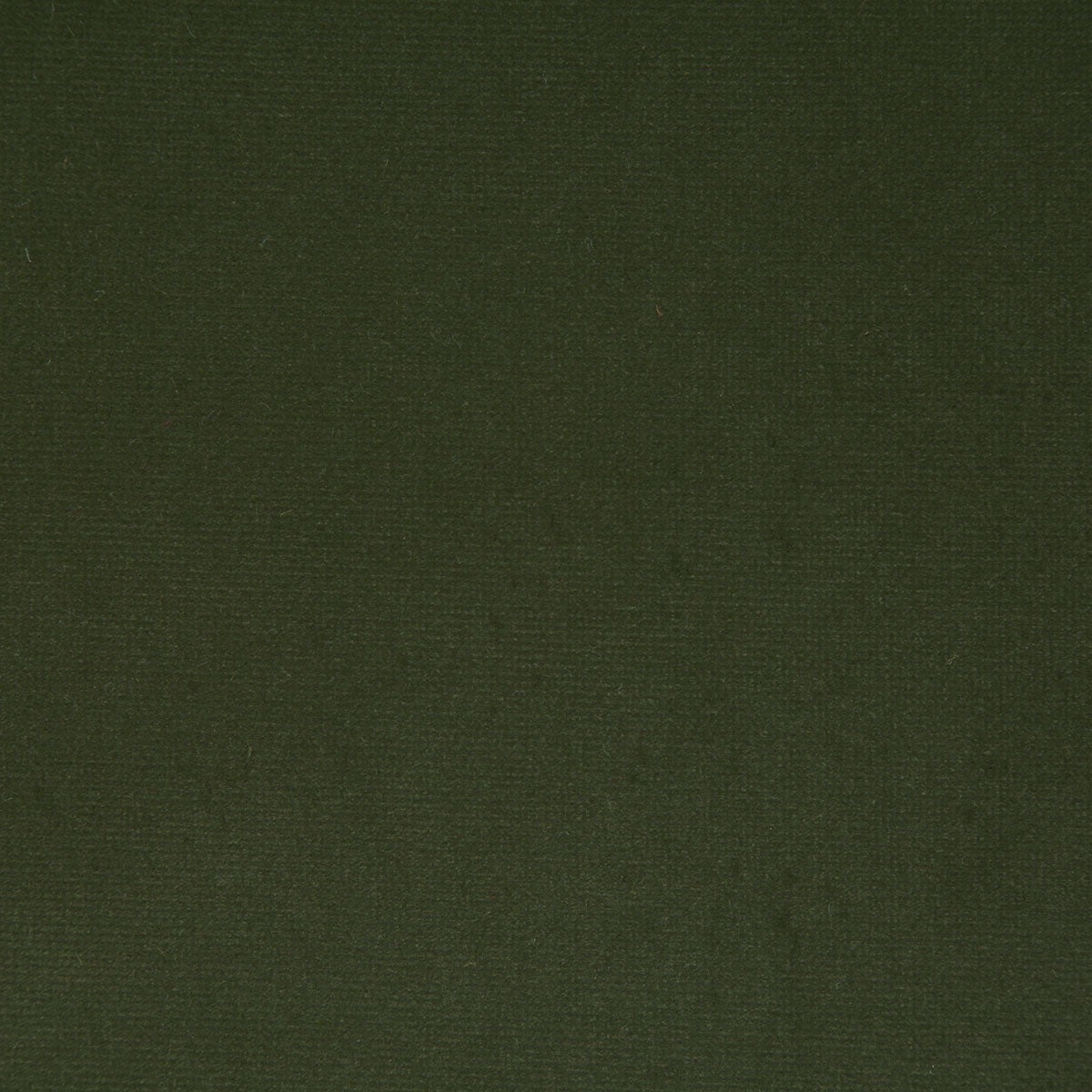 8004-florentina-loden-pindler - Pindler Tela