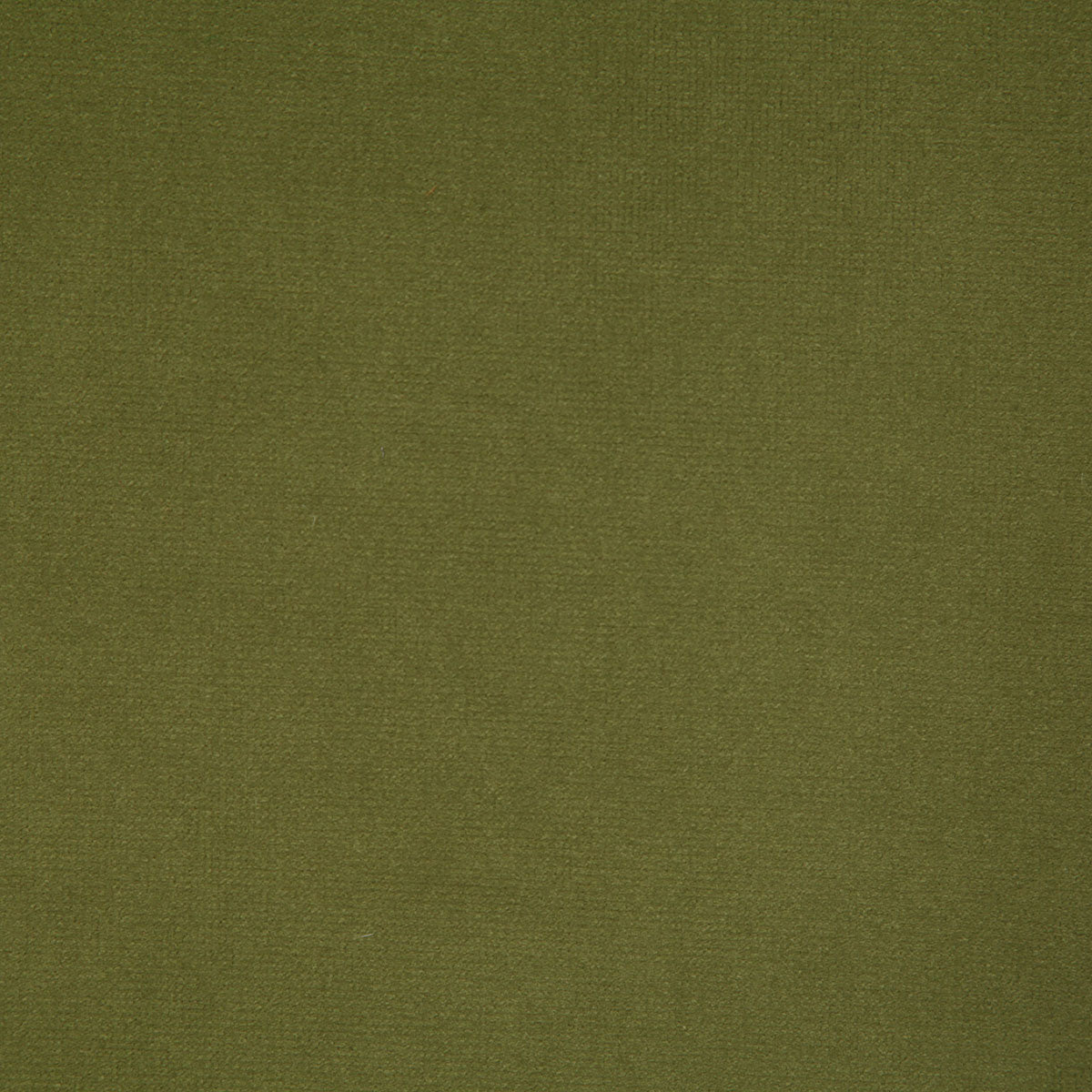 8004-florentina-olive-pindler - Pindler Tela