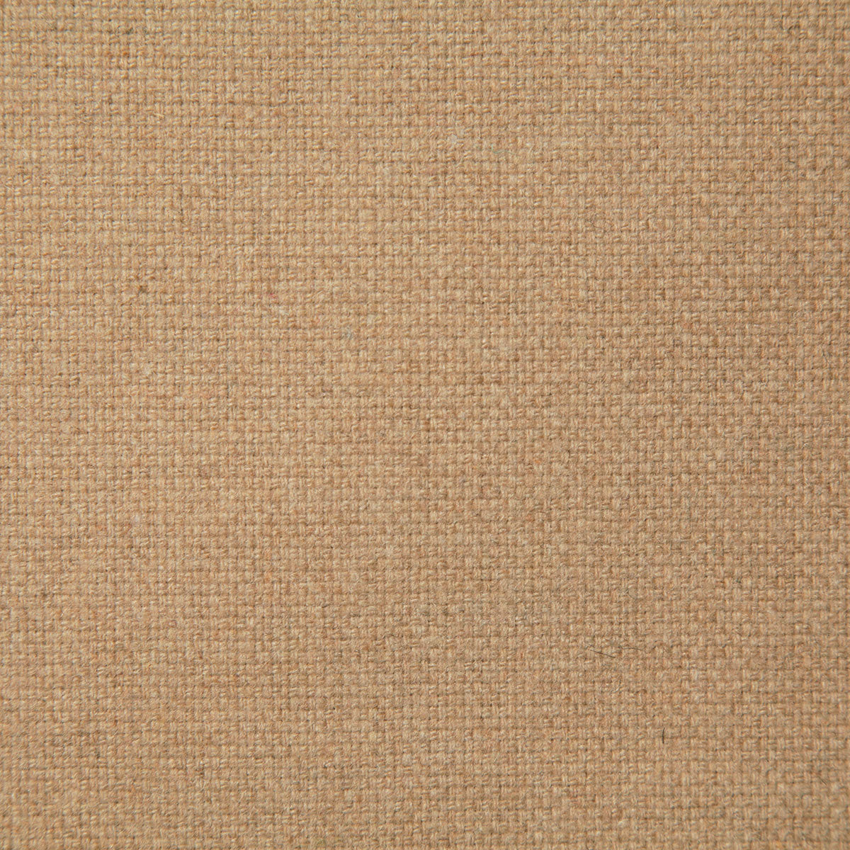 8005-rourke-camel-pindler