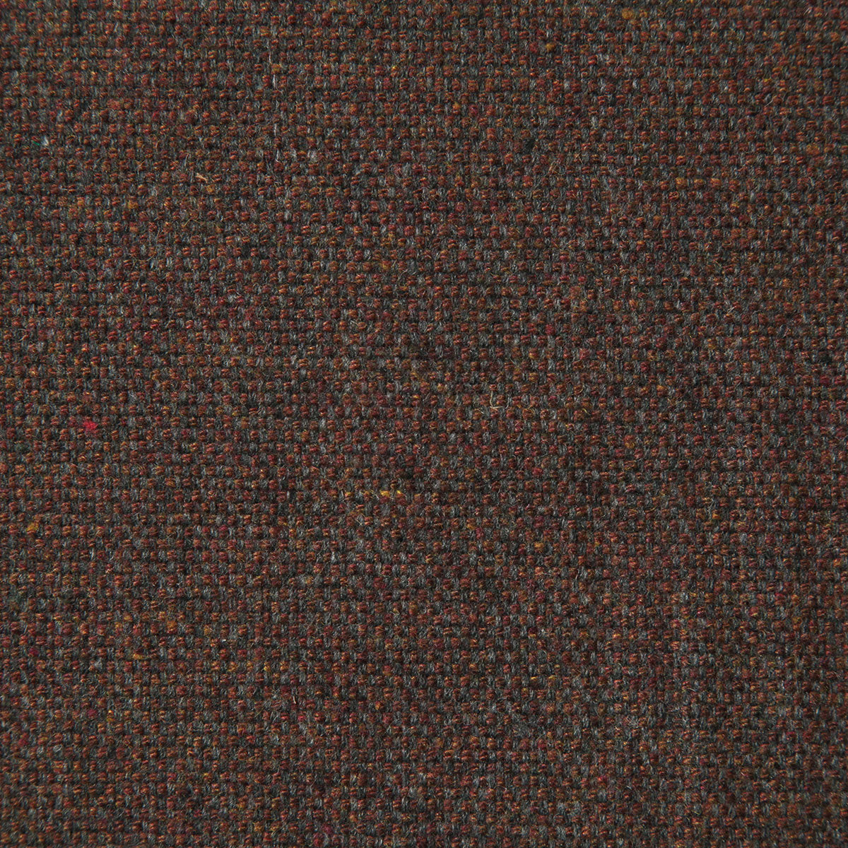 8005-rourke-cocoa-pindler