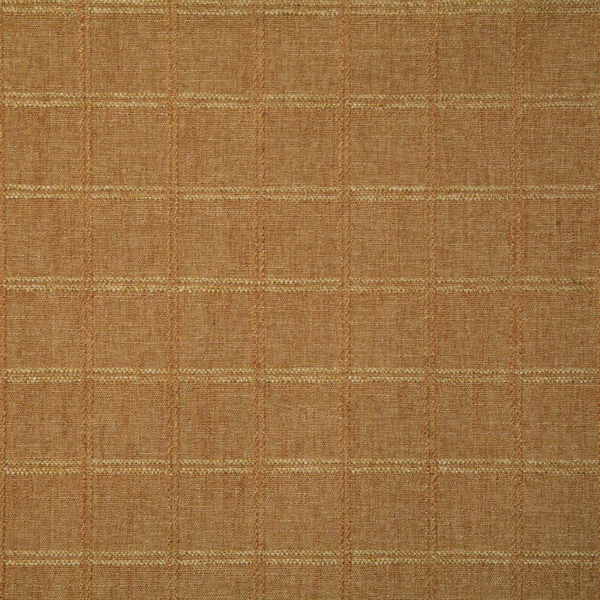 8071-valiant-amber-pindler
