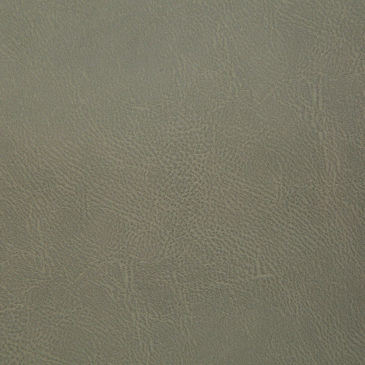 8077-gitty-up-aloe-pindler - Pindler Fabric