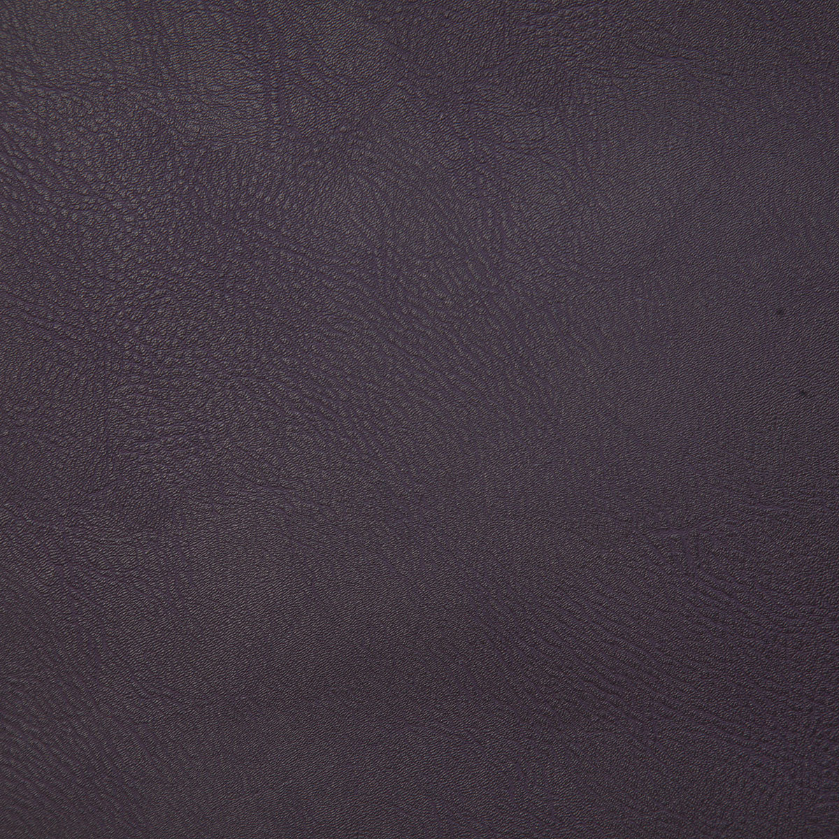 8077-gitty-up-aubergine-pindler