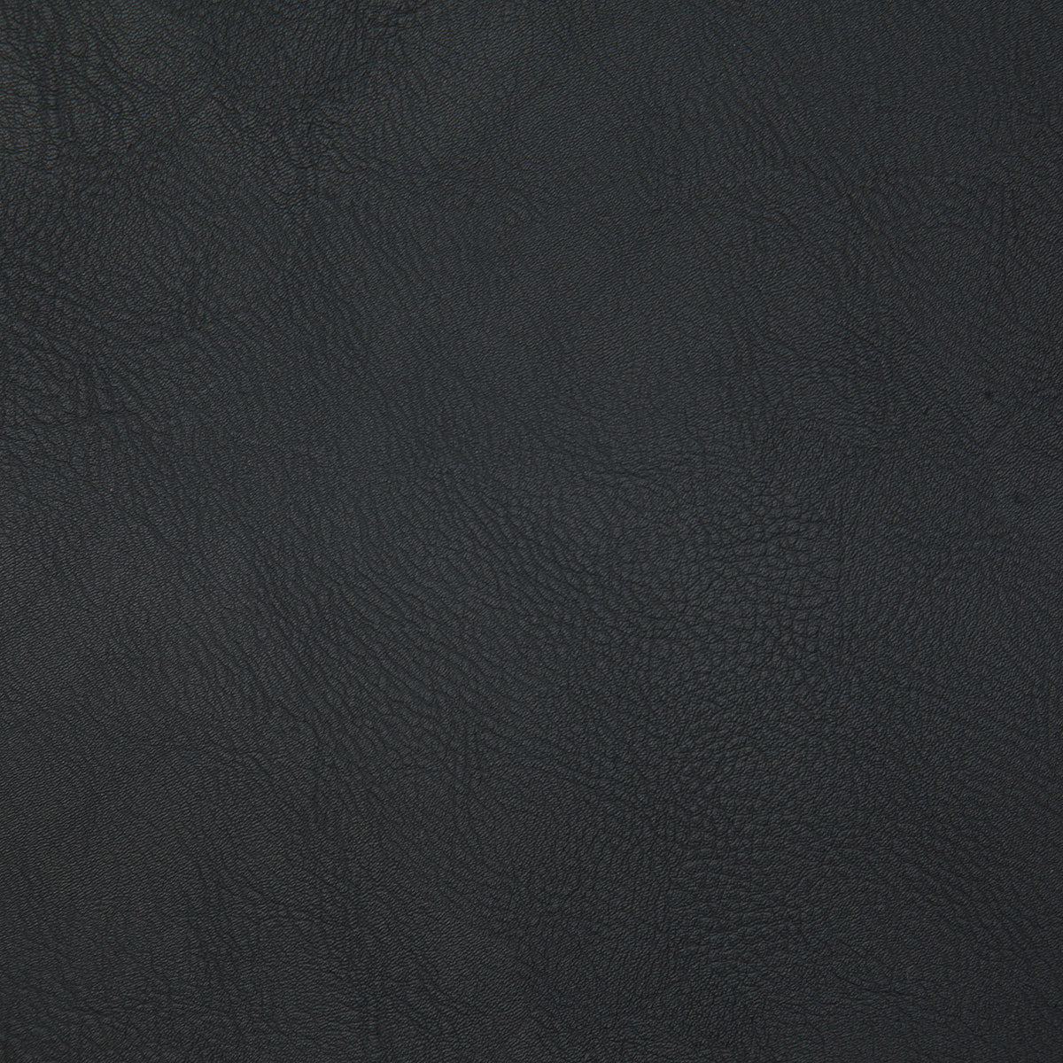8077-gitty-up-black-pindler - Pindler Fabric