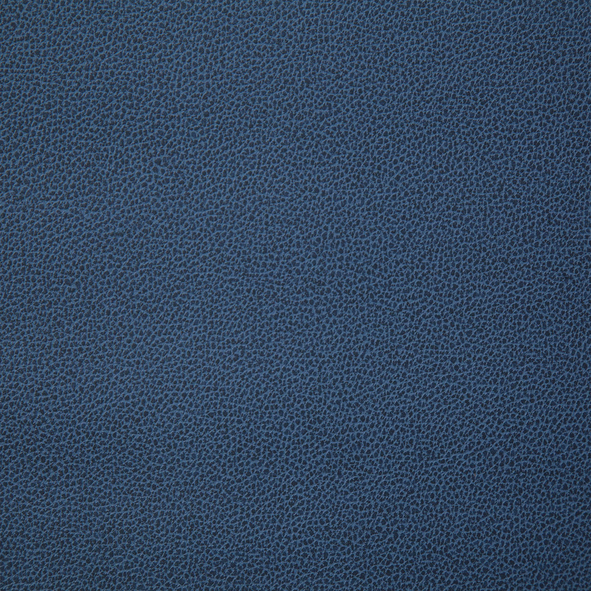 8078-lasso-harbor-pindler - Pindler Fabric