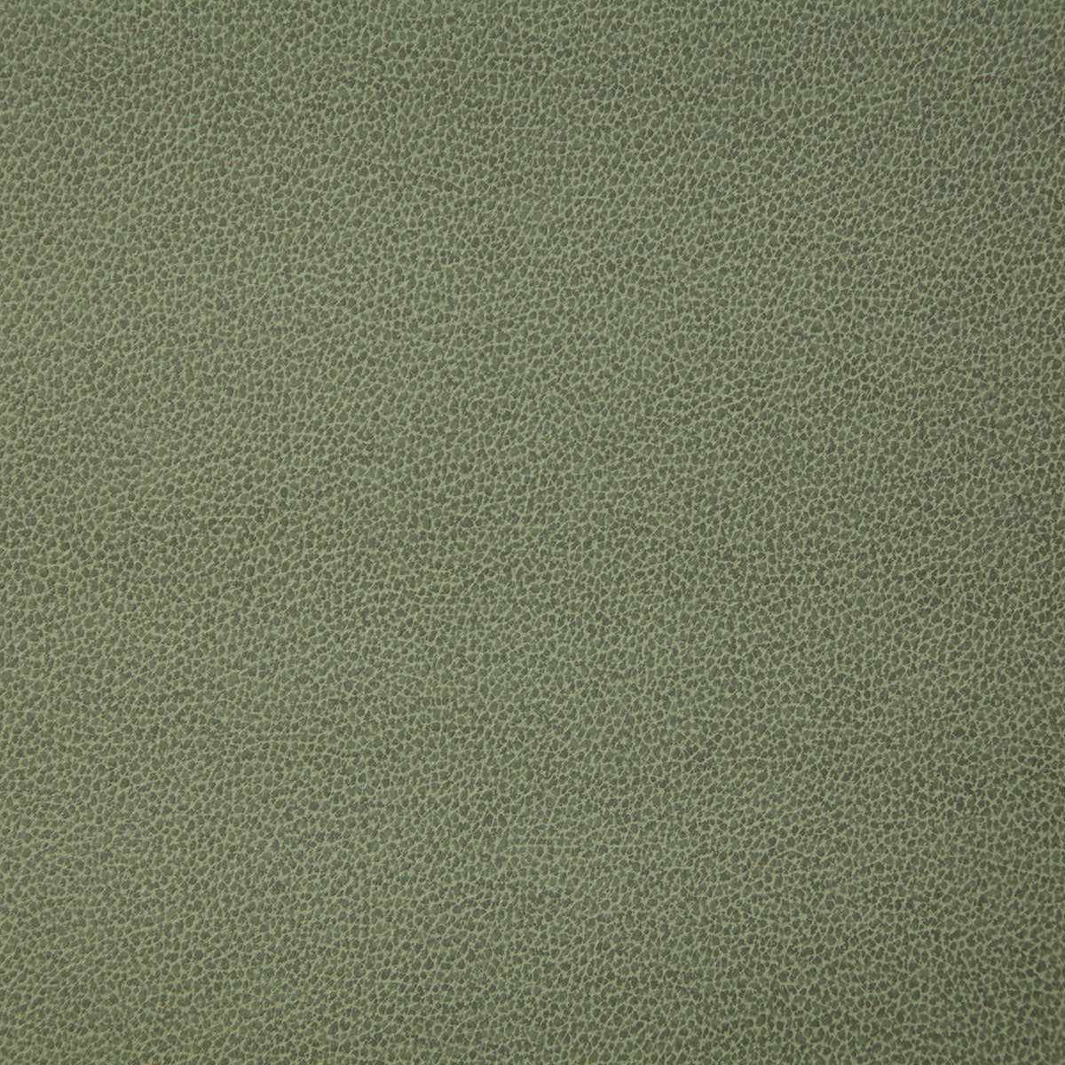 8078-lasso-moss-pindler