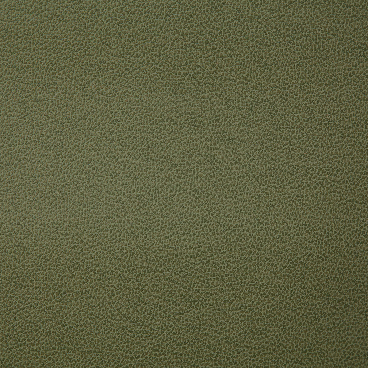 8078-lasso-palm-pindler - Pindler Fabric