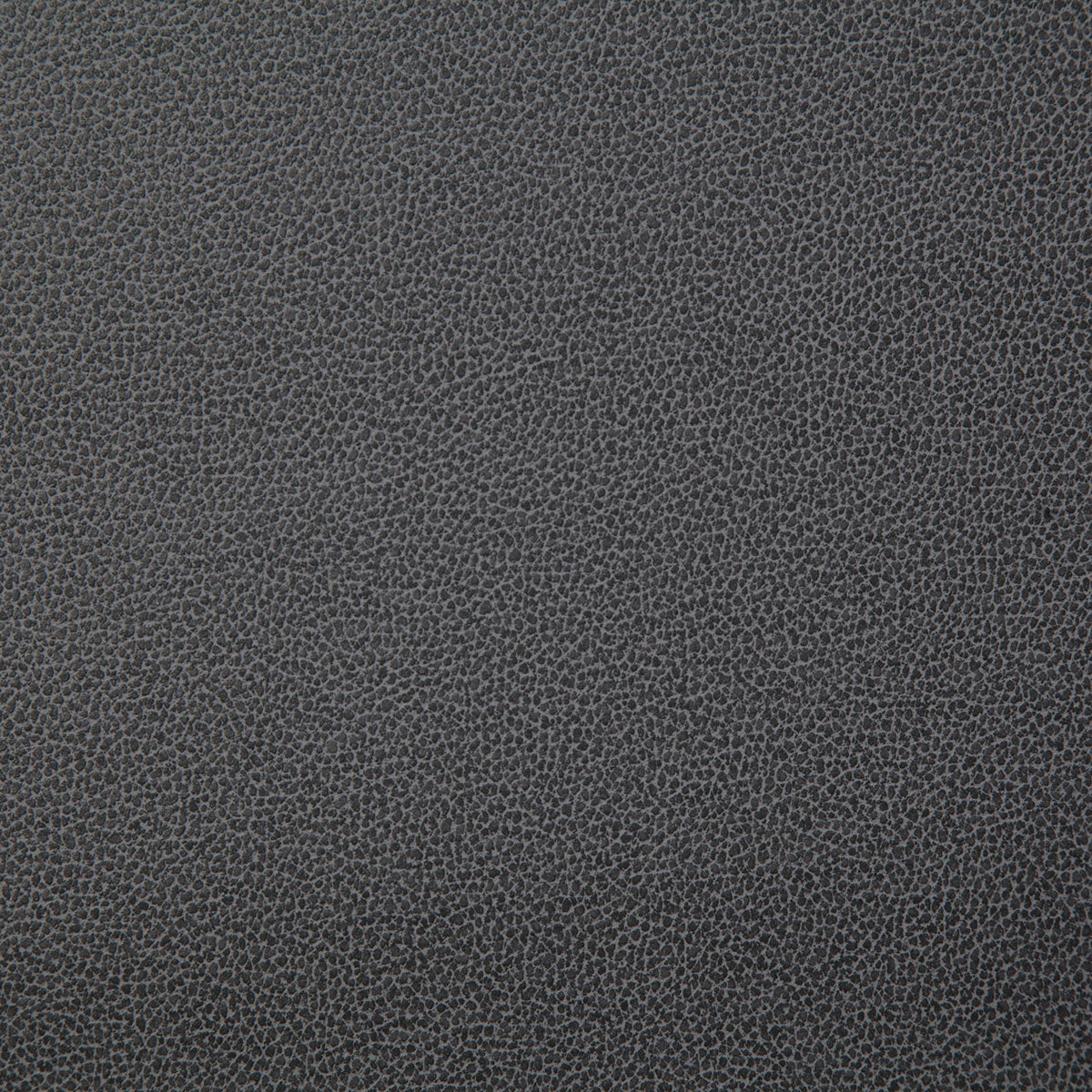 8078-lasso-thunder-pindler