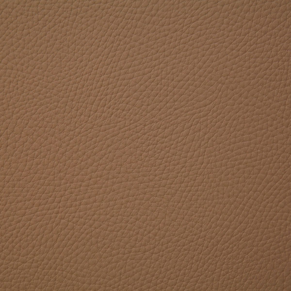 8079-bandero-camel-pindler - Pindler Fabric