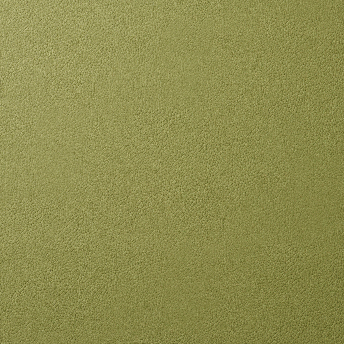 VEGAN-LEATHER-INDOOR-OUTDOOR-MOSS-SCHUMACHER-80907