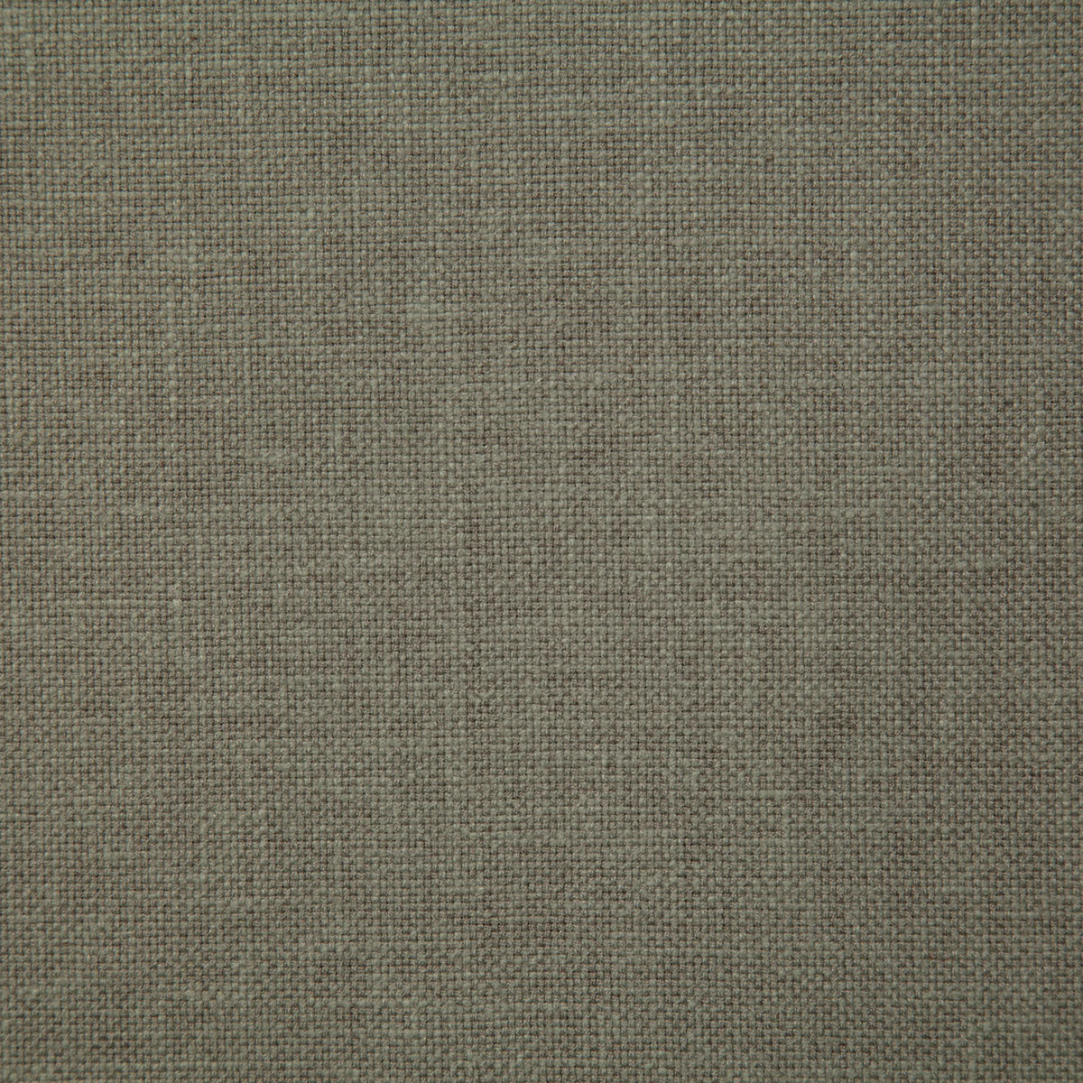 8099-sampson-sage-pindler