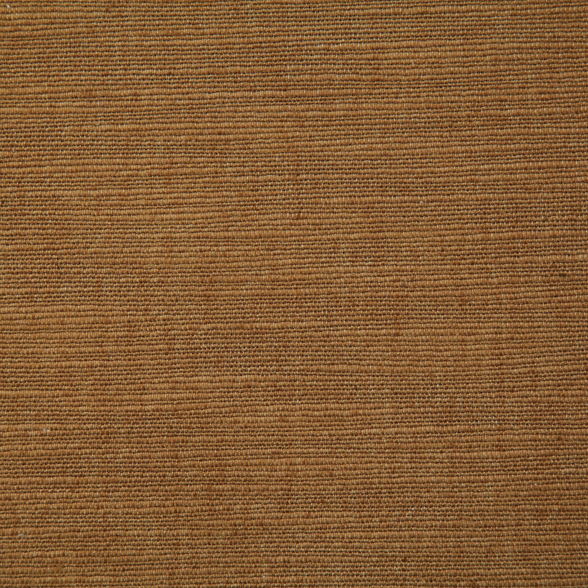 8100-thompkins-amber-pindler