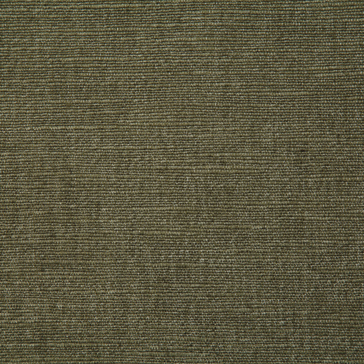 8100-thompkins-olive-pindler - Pindler Tela