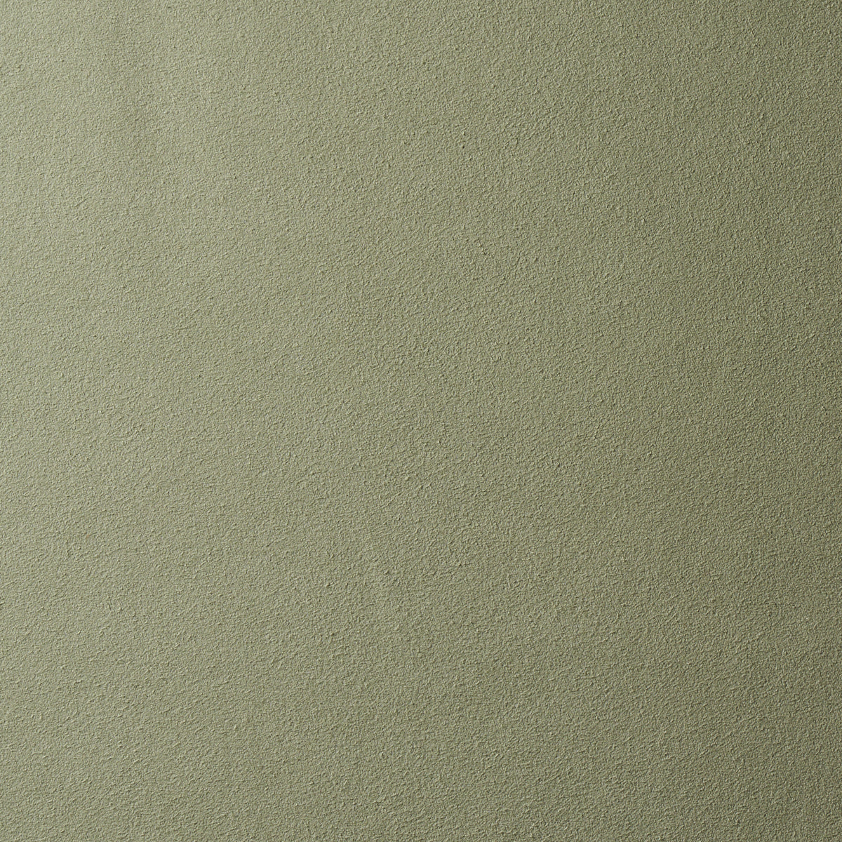 VEGAN-SUEDE-SAGE-SCHUMACHER-81138
