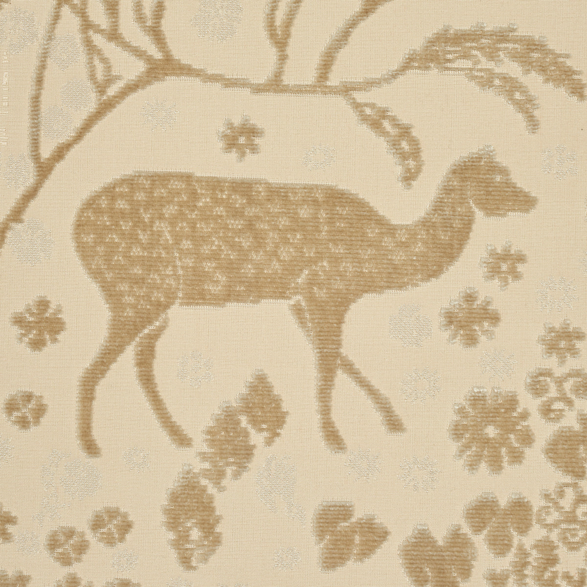 ARBOR-FOREST-CHAMPAGNE-SCHUMACHER-81311
