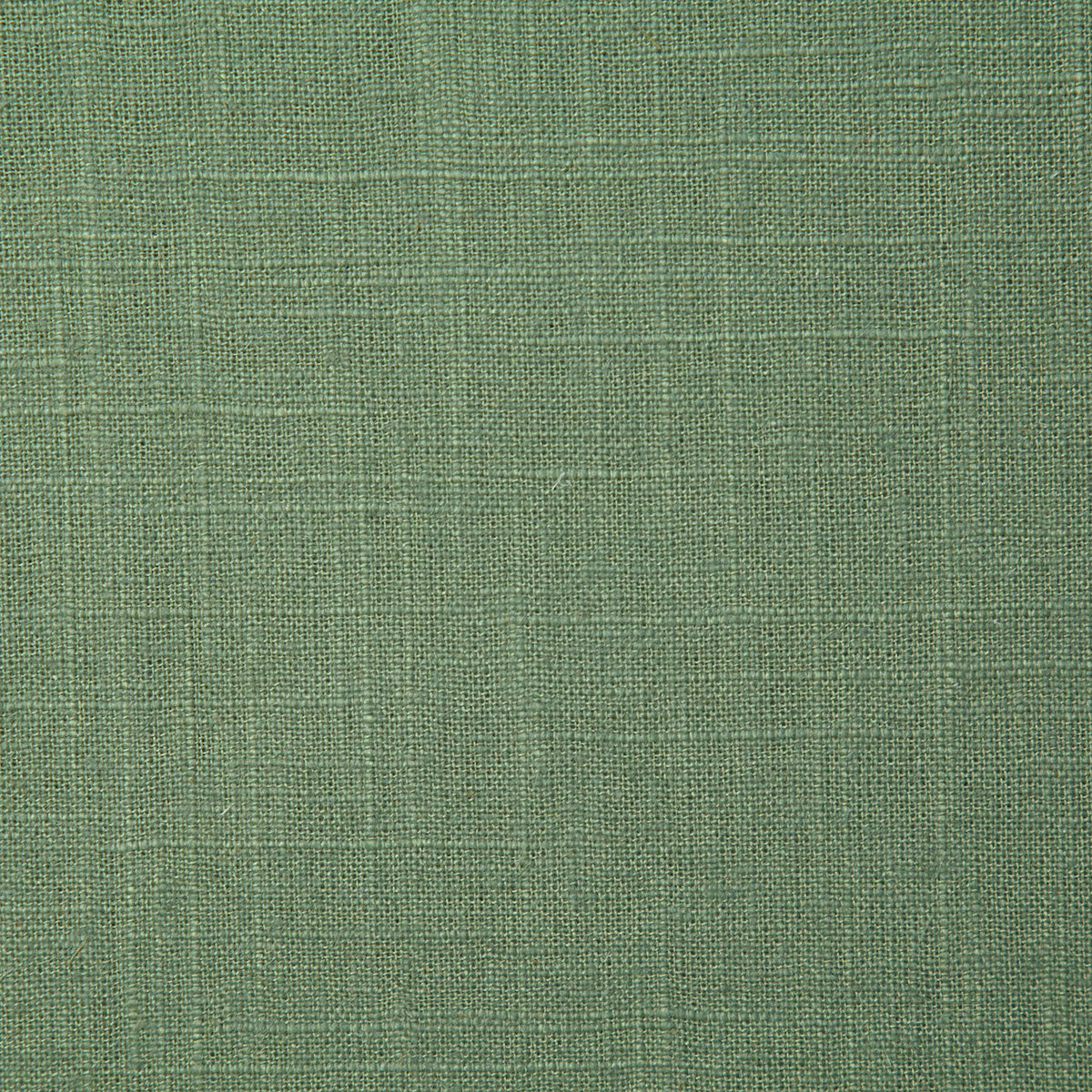 8136-reliance-fern-pindler - Pindler Tela