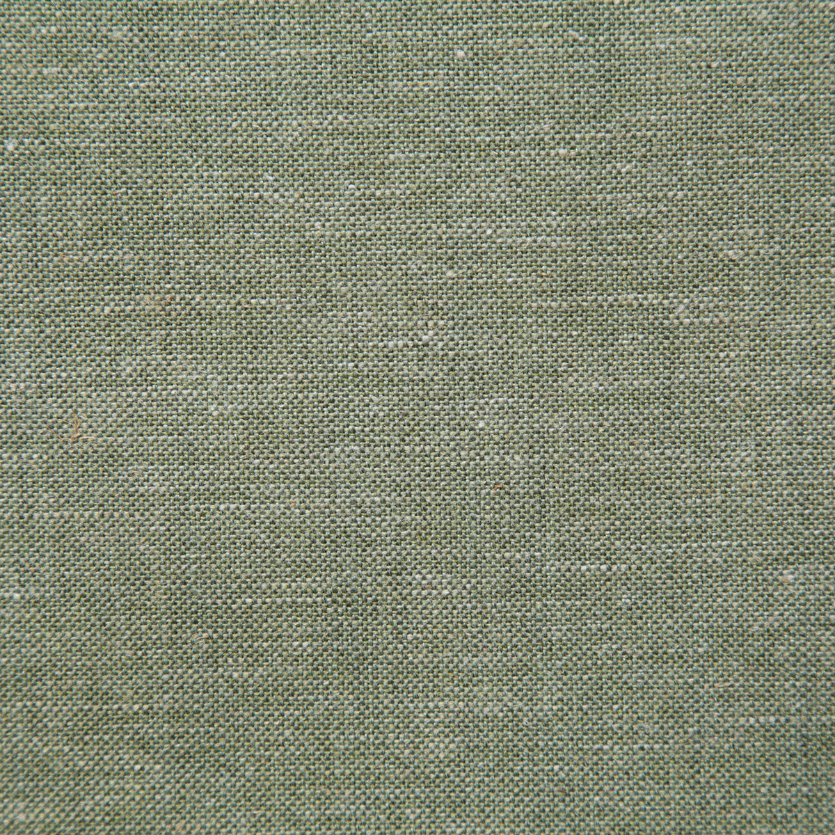 8143-chance-lichen-pindler