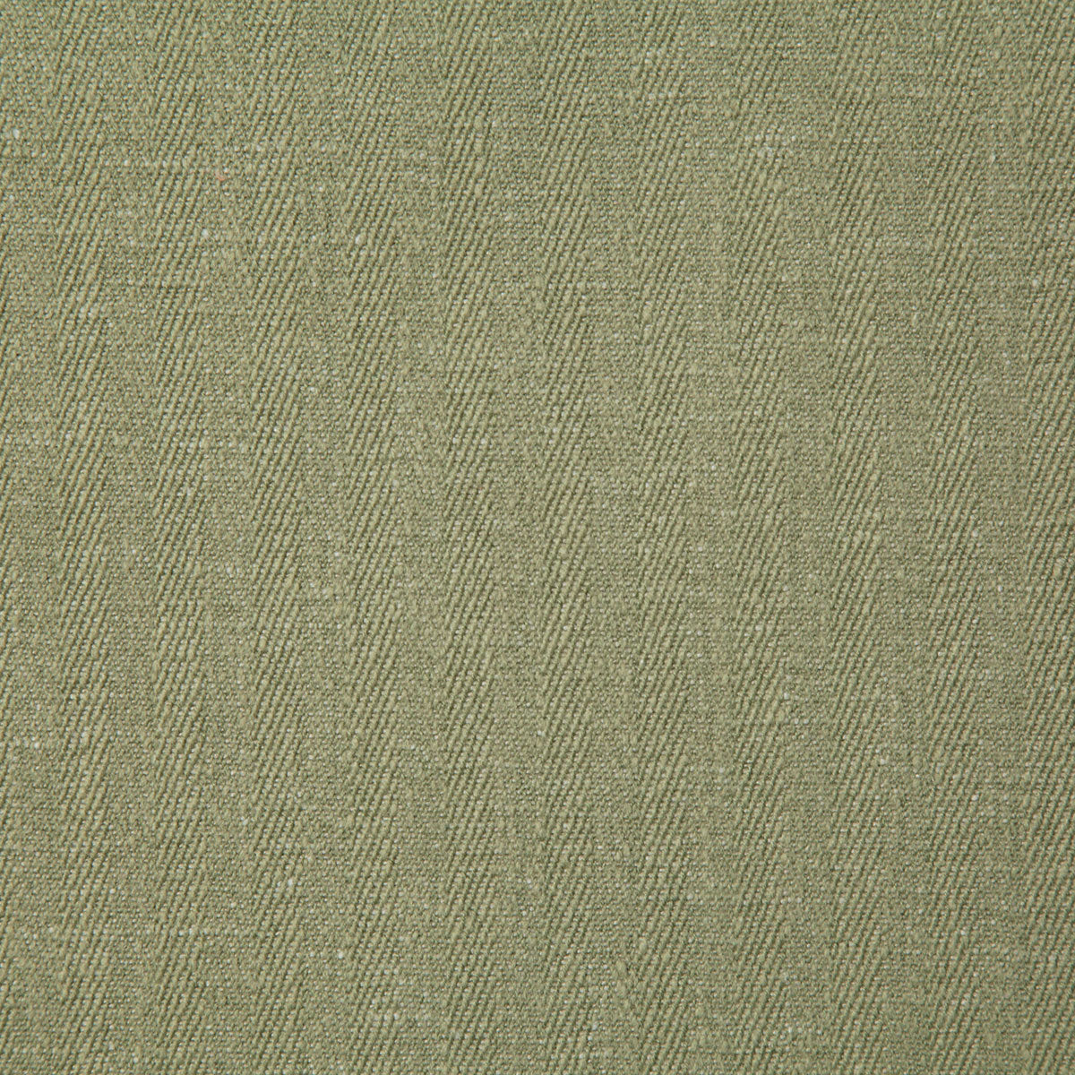 8154-canfield-sage-pindler