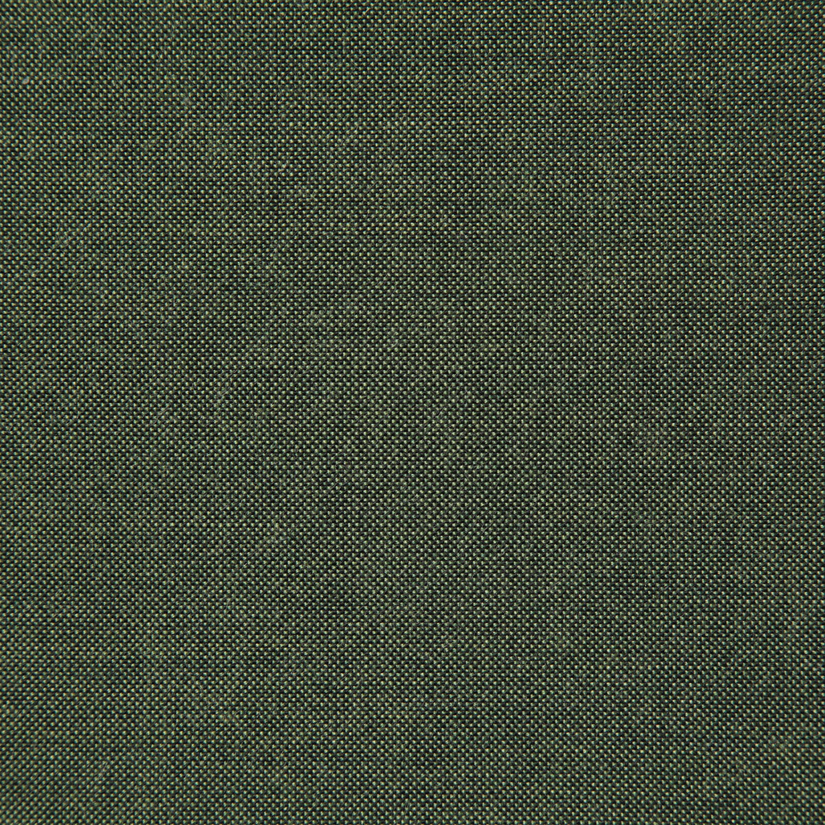 8165-cliffridge-lichen-pindler - Pindler Tela