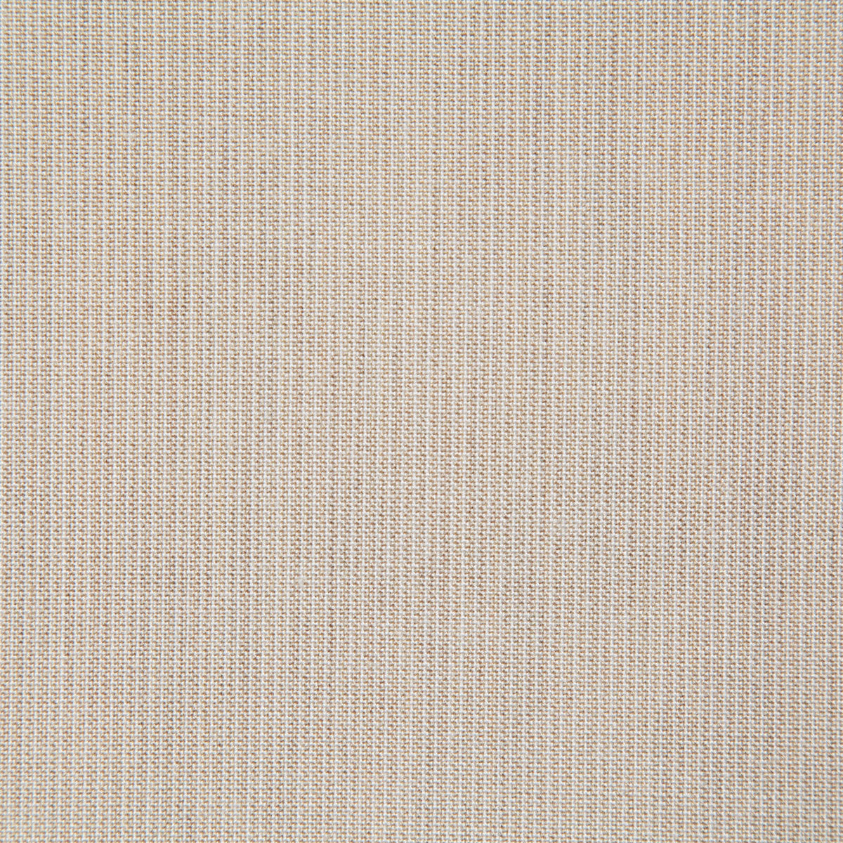 8166-rockwell-shell-pindler - Pindler Tela