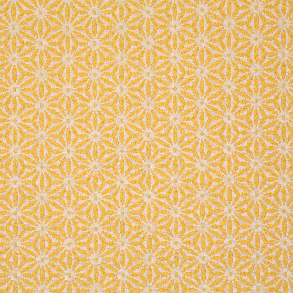 8169-tidepool-sunshine-pindler