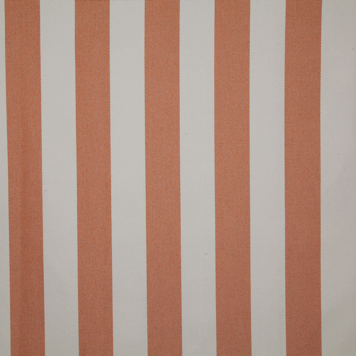 8171-crestline-tangerine-pindler