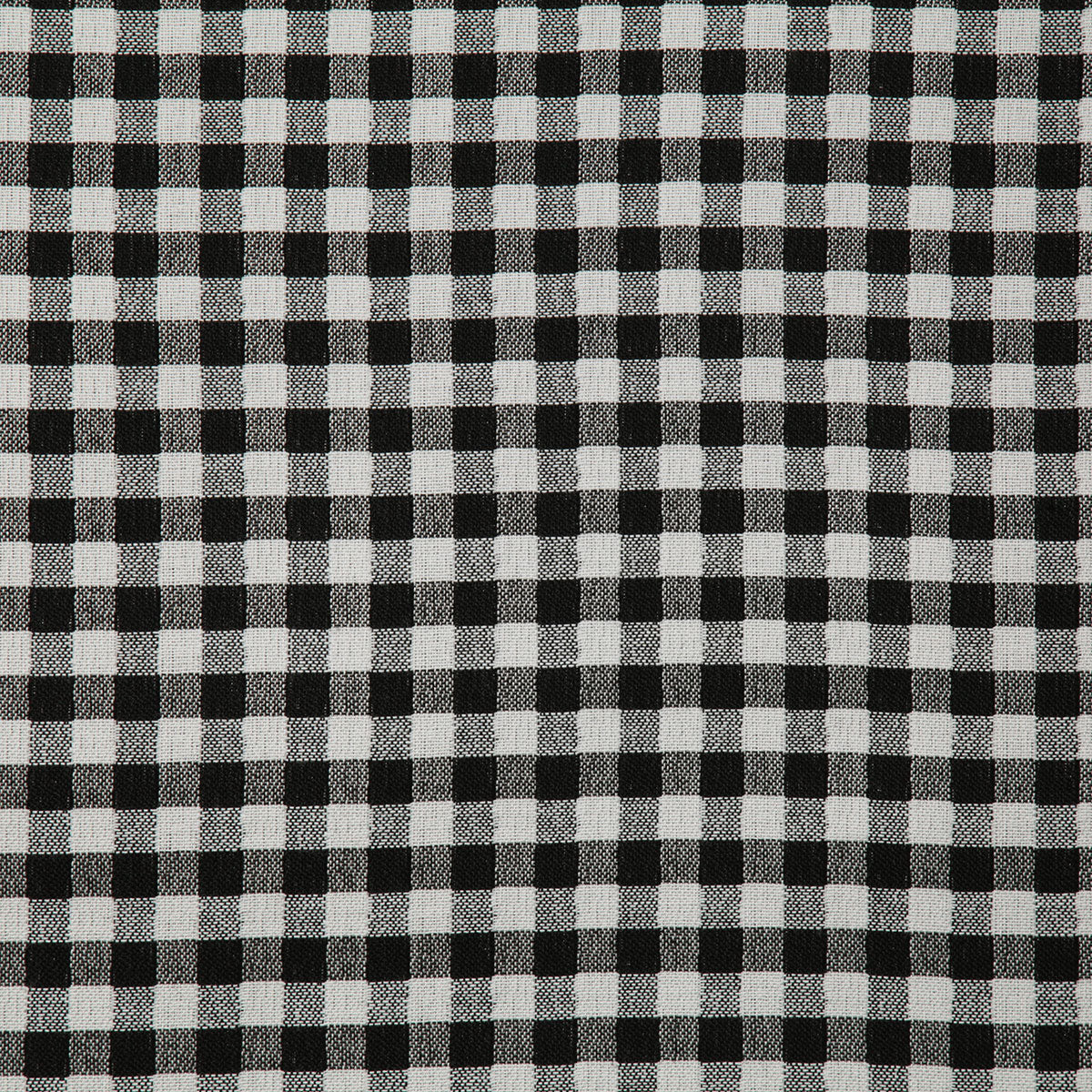 8173-little-gingham-domino-pindler