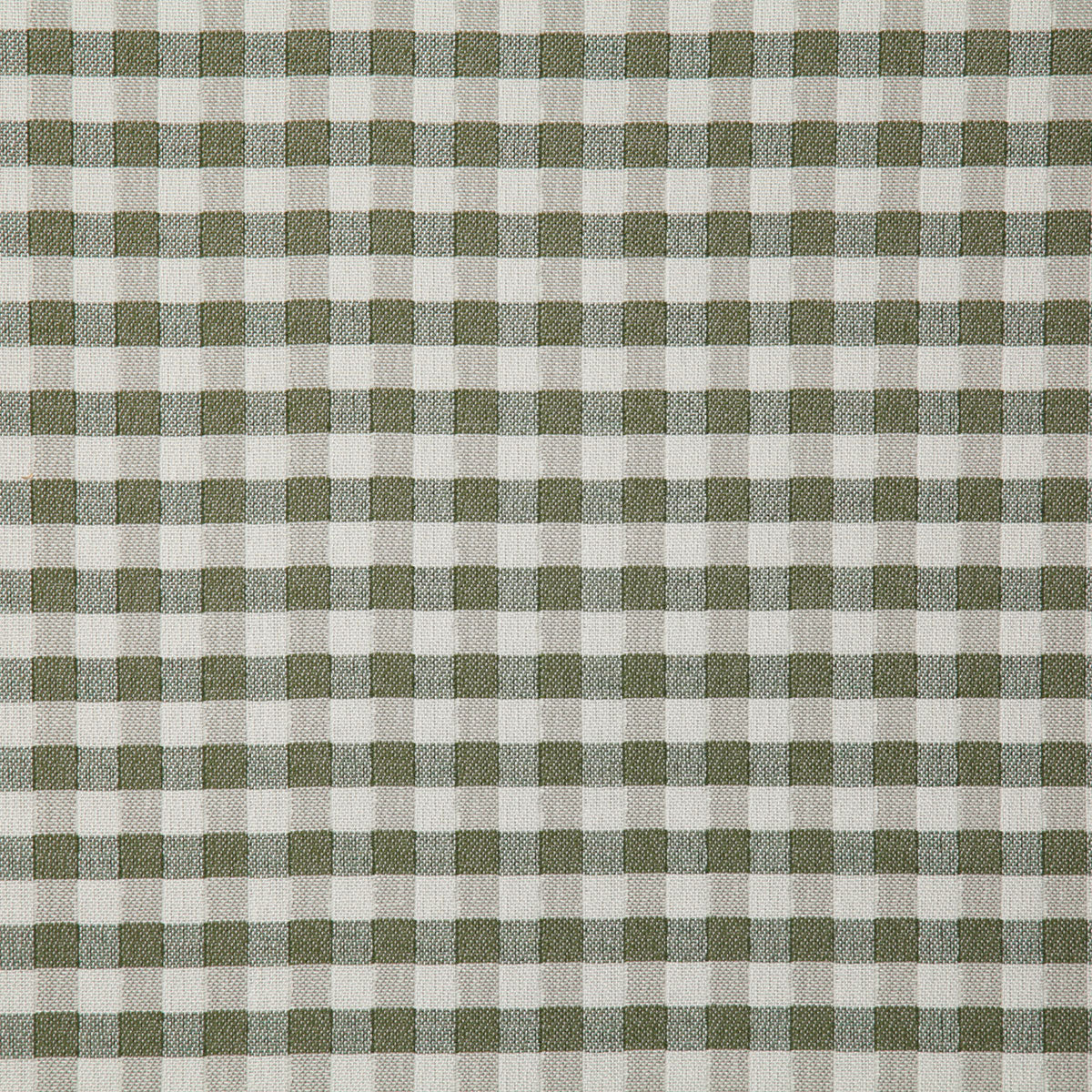 8173-little-gingham-green-pindler