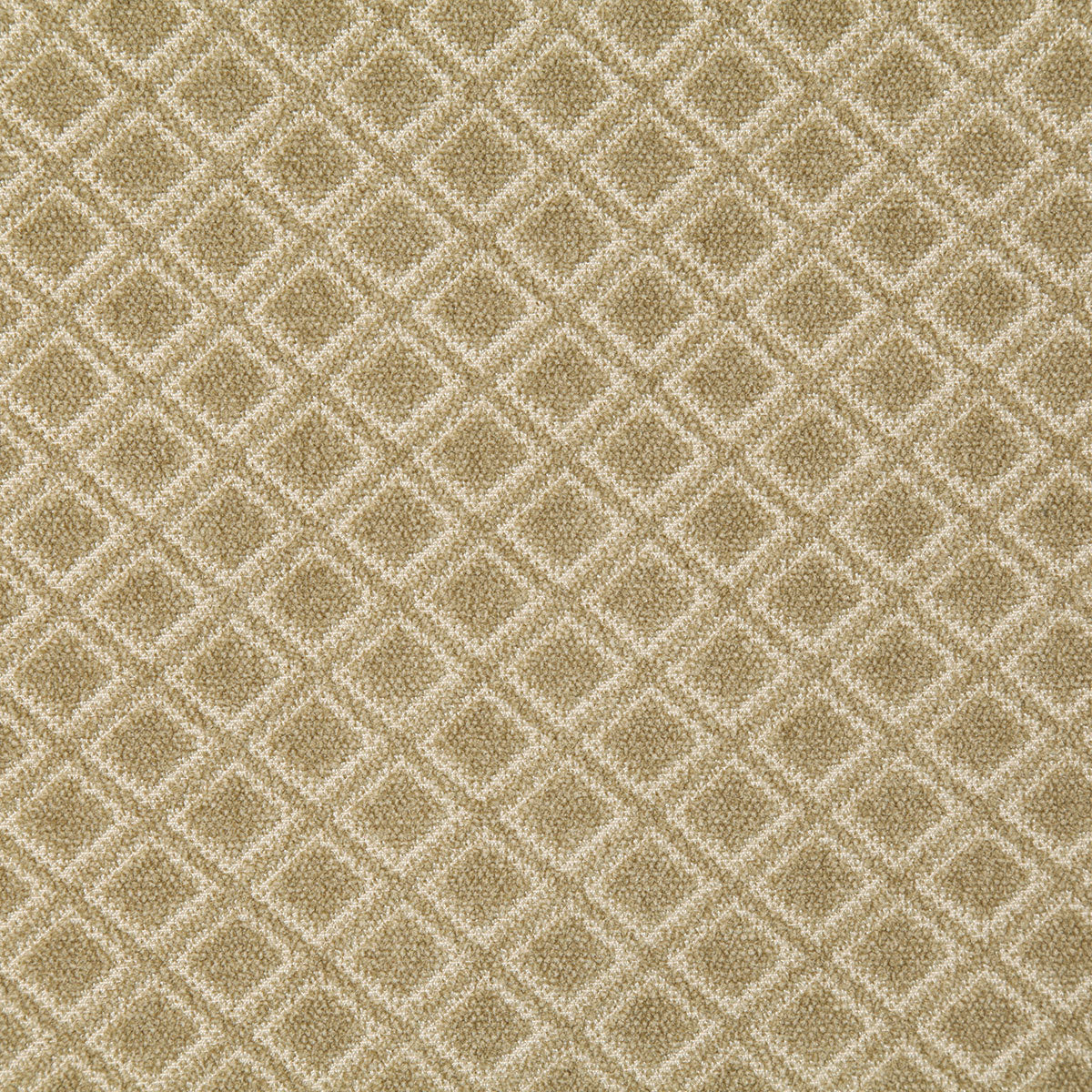 8185-eli-dune-pindler