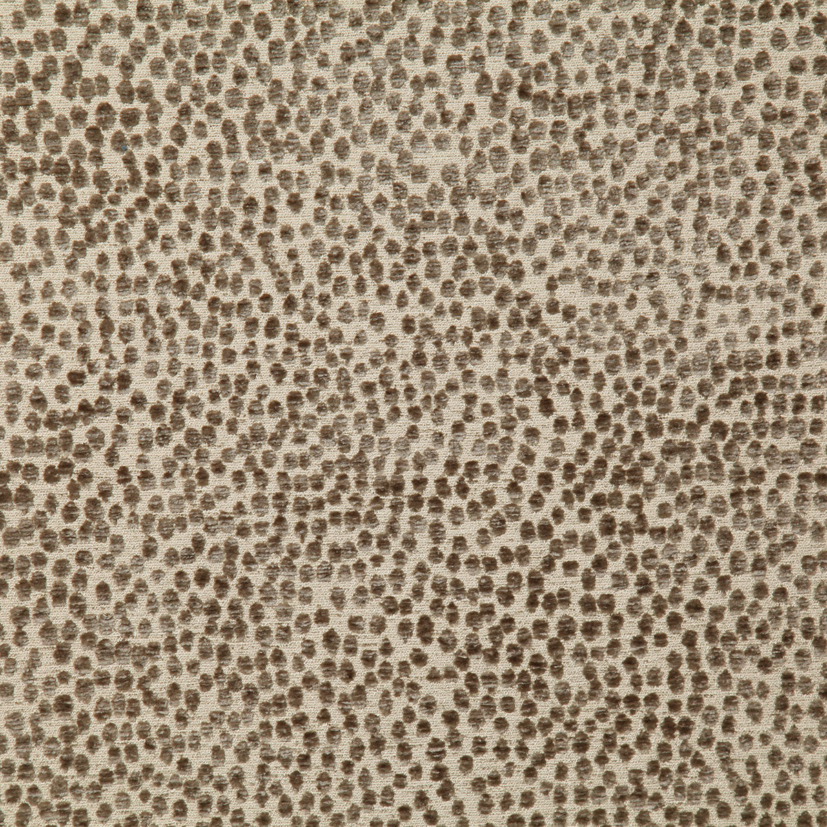 8186-essex-mushroom-pindler