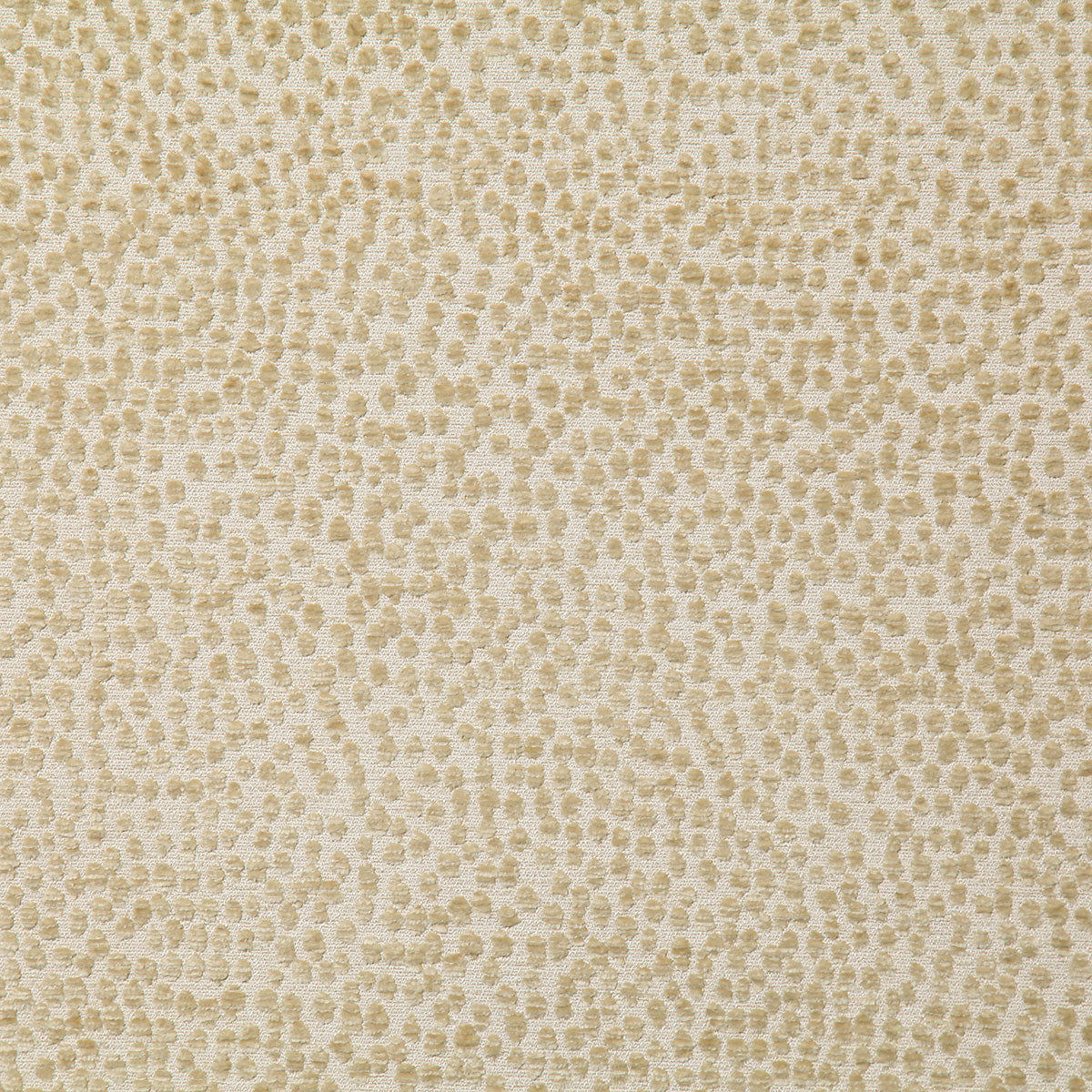 8186-essex-wheat-pindler