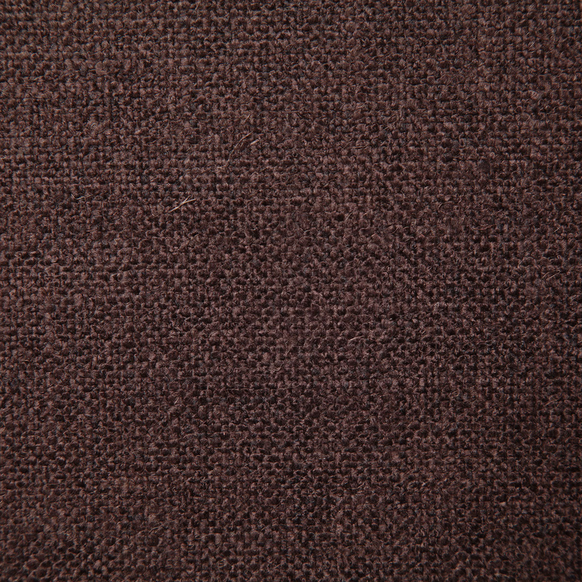 8199-dale-cocoa-pindler