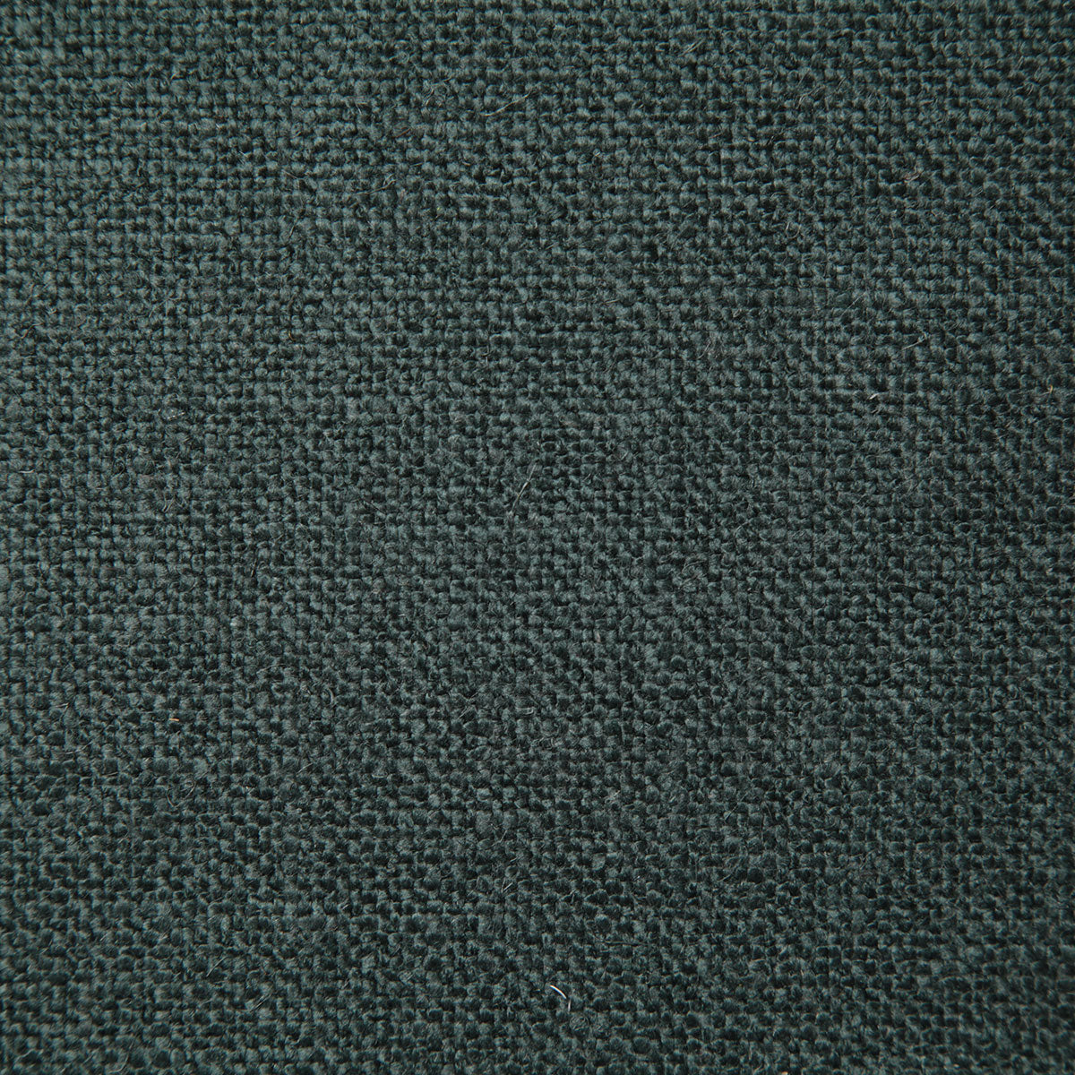 8199-dale-juniper-pindler