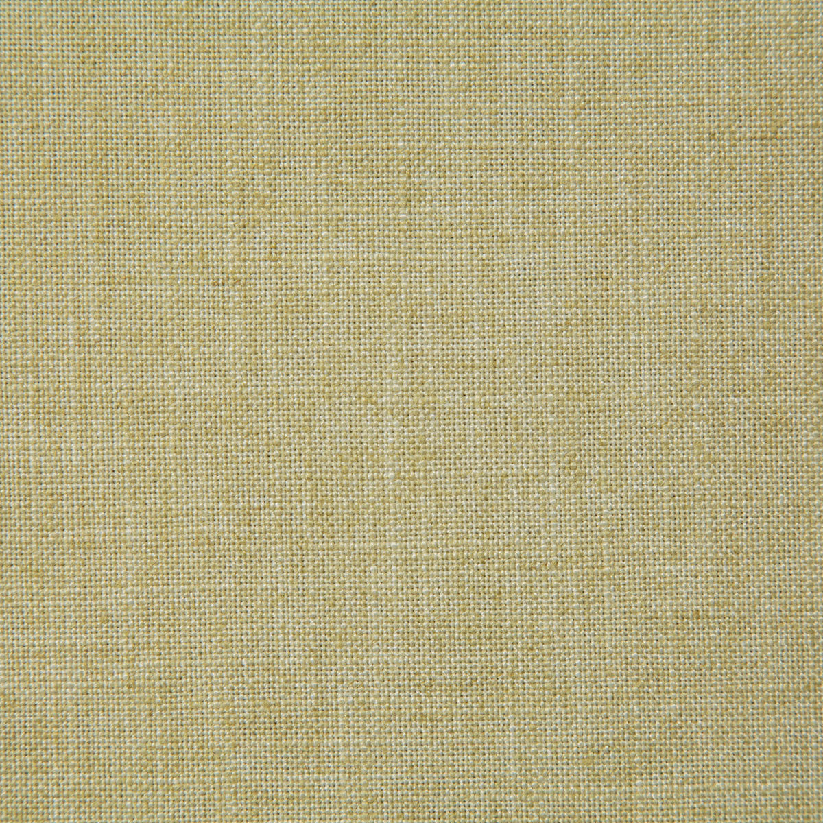 8208-millward-leaf-pindler - Pindler Fabric