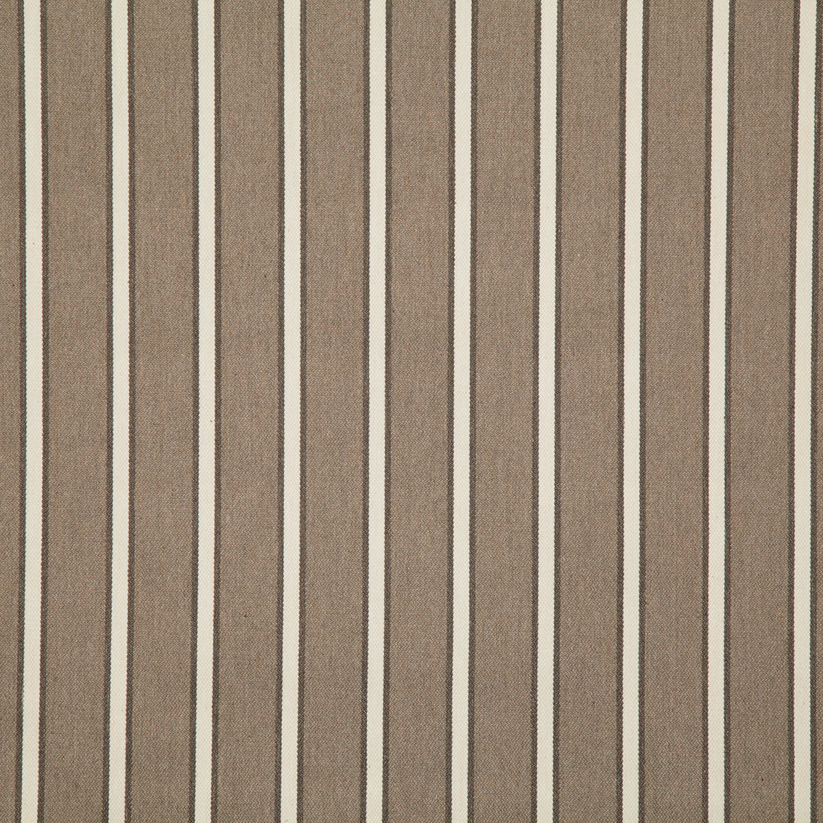 8212-mayer-mink-pindler